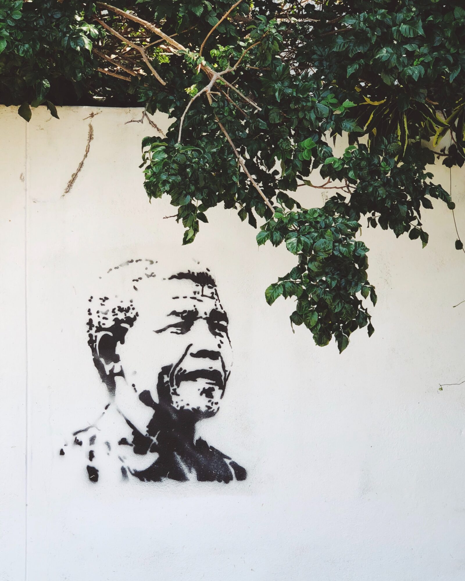 نيلسون مانديلا رحلة من الزنزانة إلى الزعامة